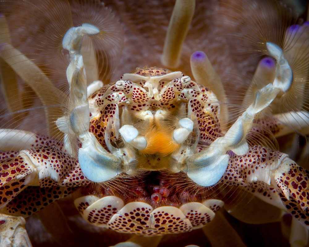 Photograph by Wesley Oosthuizen