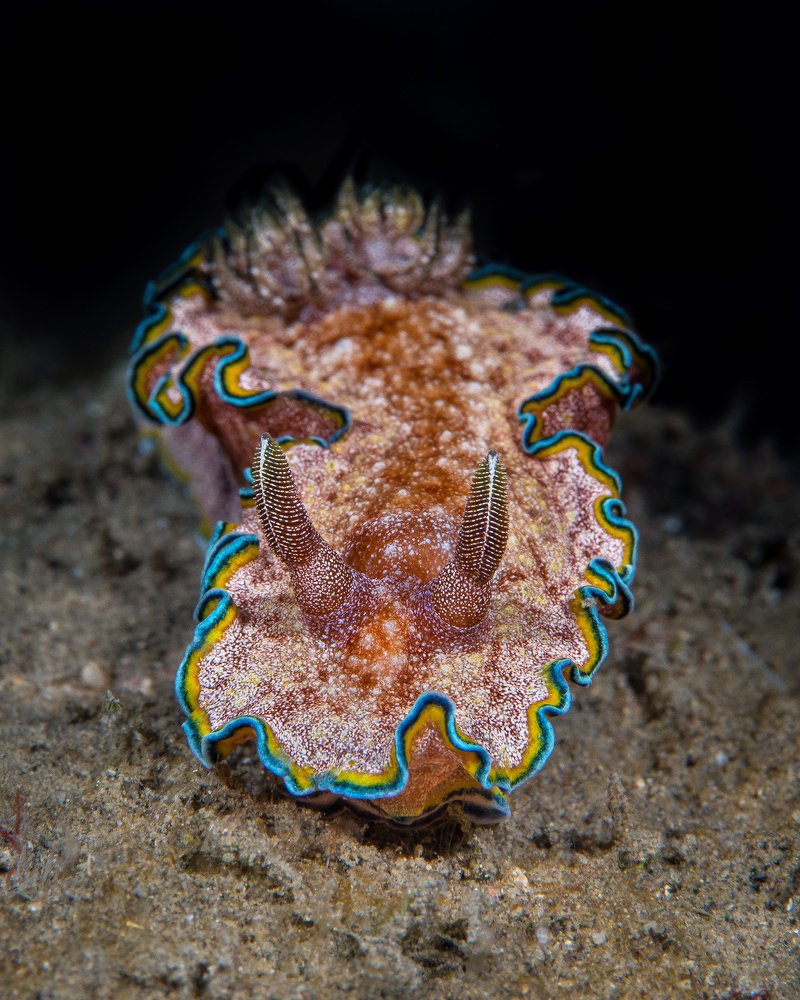 Photograph by Wesley Oosthuizen