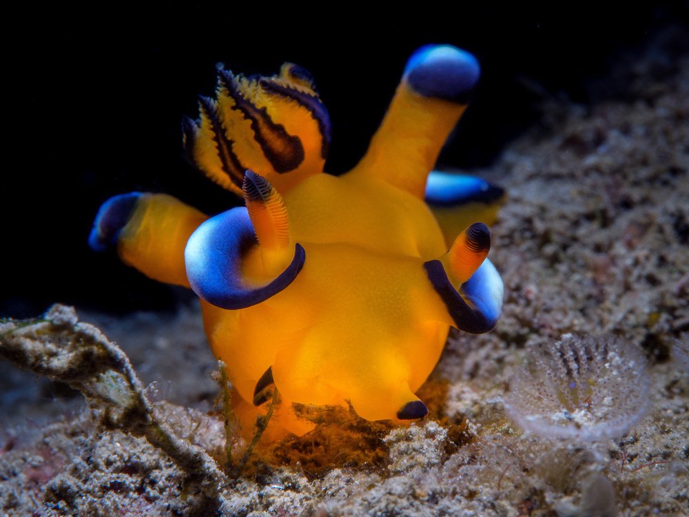 Photograph by Wesley Oosthuizen