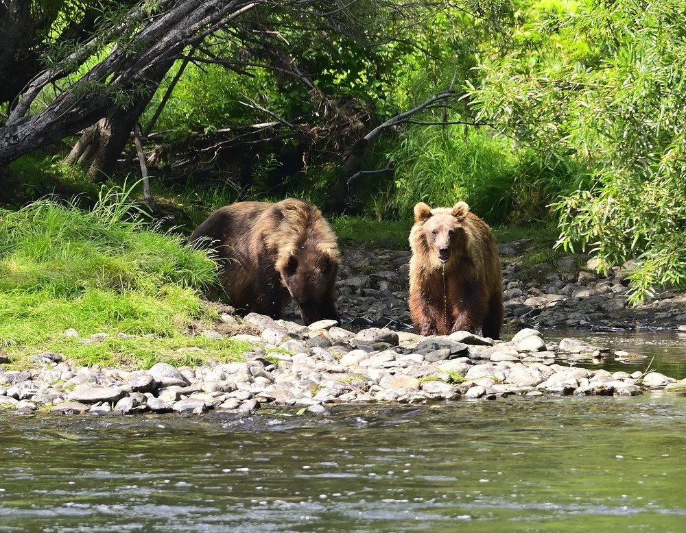 Photograph by Karasev Pavel