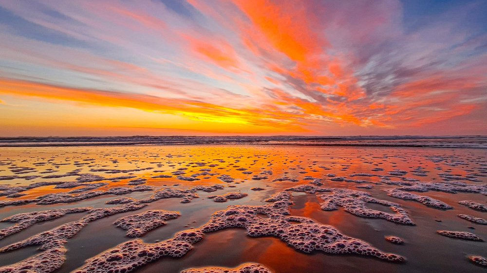 Фотография автора Маргарита Басова