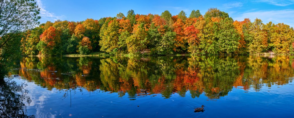 Photograph by Алексей Щербаков