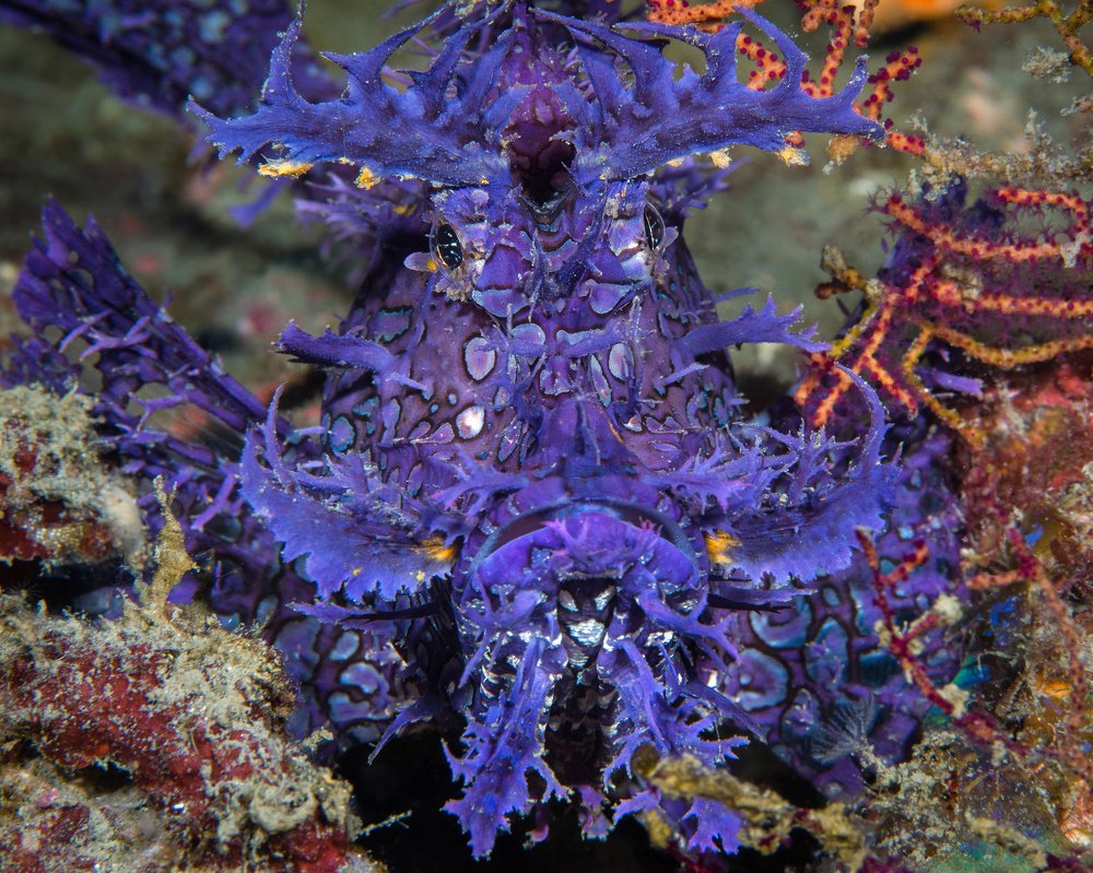 Photograph by Wesley Oosthuizen