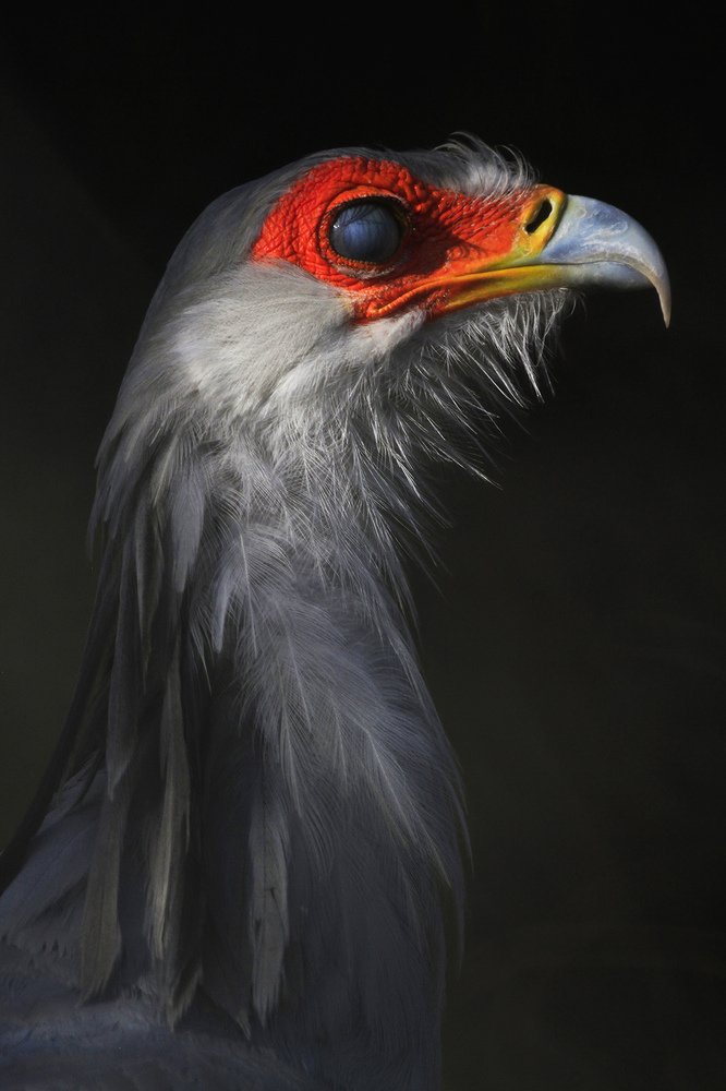 Photograph by Linda Grondier