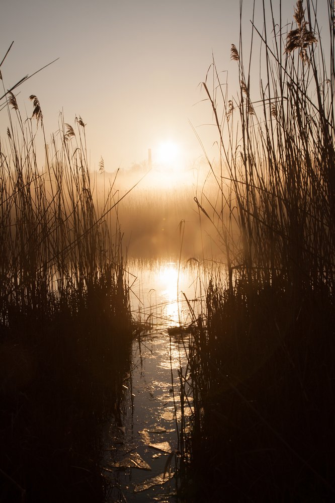 Photograph by Yulia Padalko