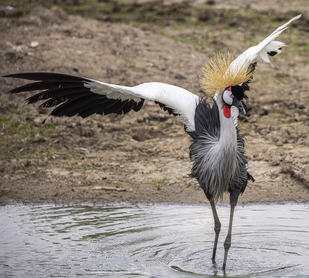 Photograph by Dem Kerrigan