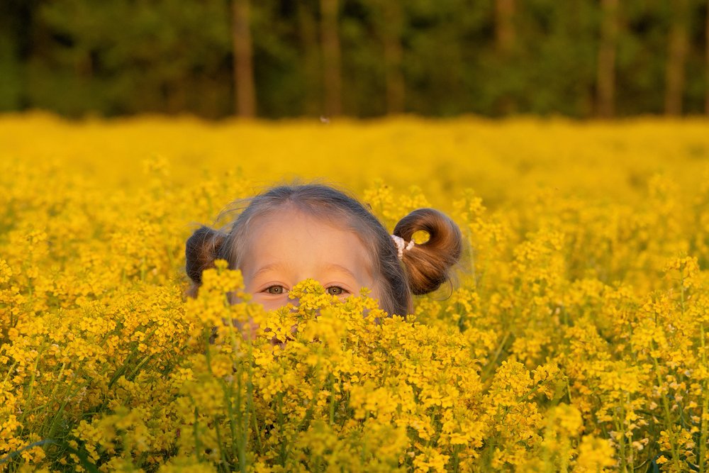 Цветочная фея