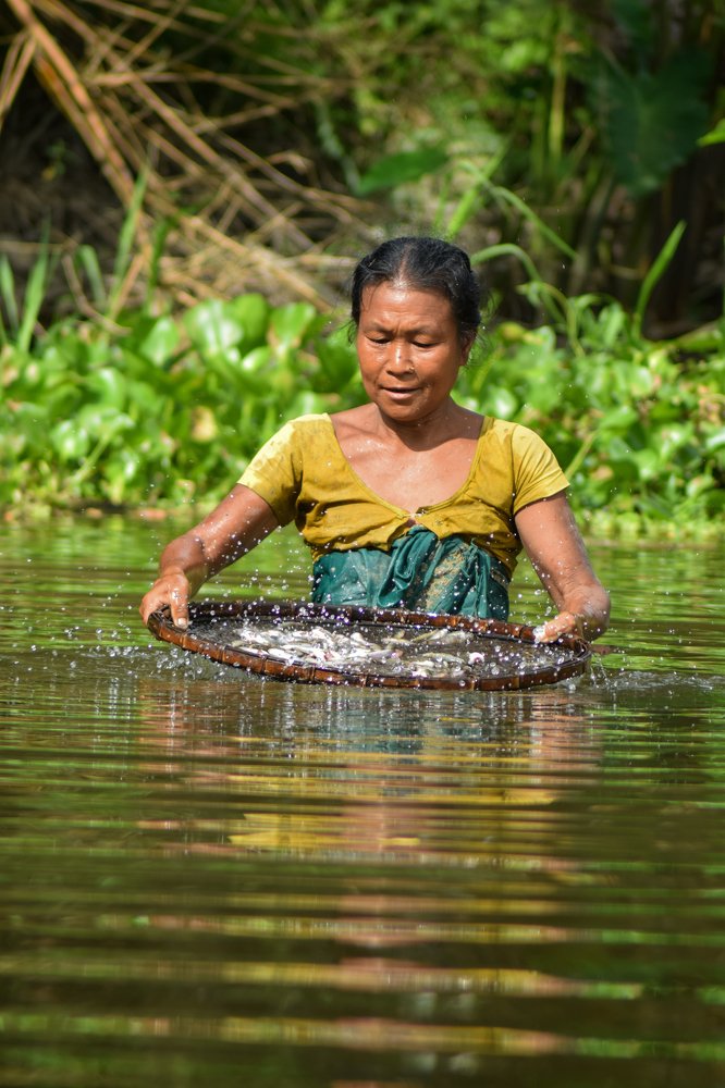 Фотография автора AD Ajay
