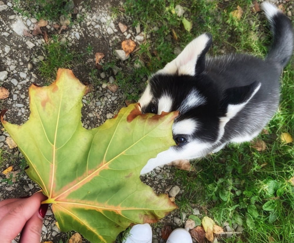 Фотография автора Маргарита Басова