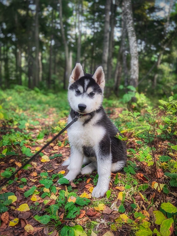 Фотография автора Маргарита Басова