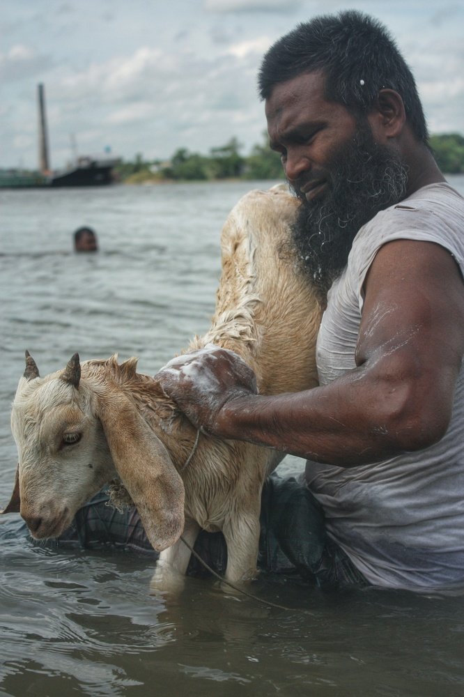Photograph by Islam Jamirul