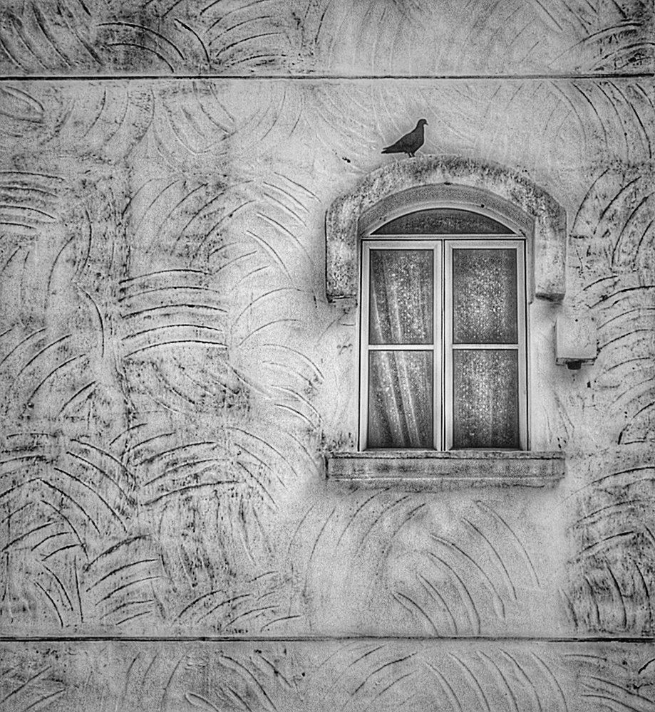 Photograph by Islam Jamirul