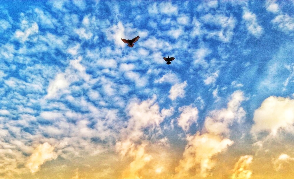 Photograph by Islam Jamirul