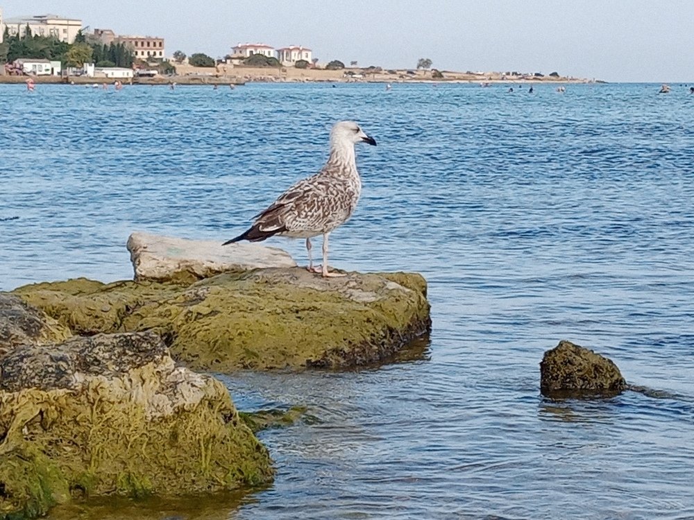 Photograph by Жанна Иванисенко