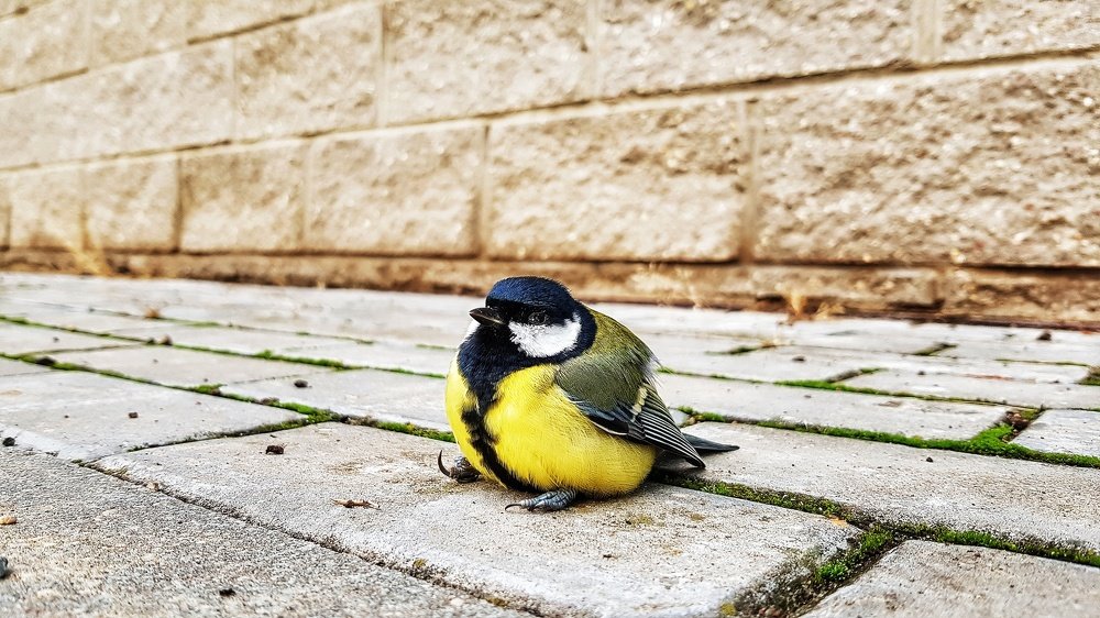 Фотография автора Дана Богинская