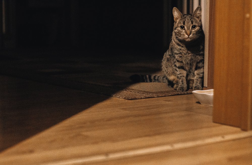 Нюхля