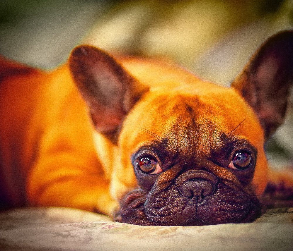 Photograph by Генри Морган