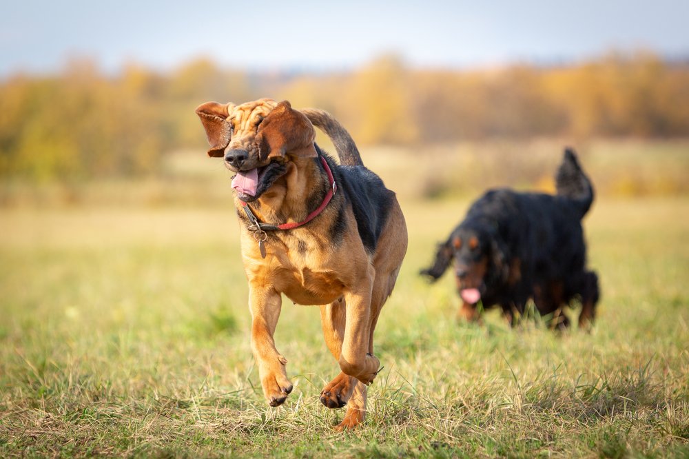 Photograph by Evgeniya Glinskaya