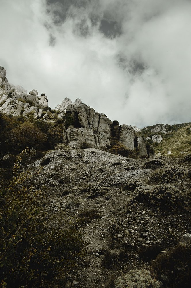 Photograph by Dmitry Borisenko