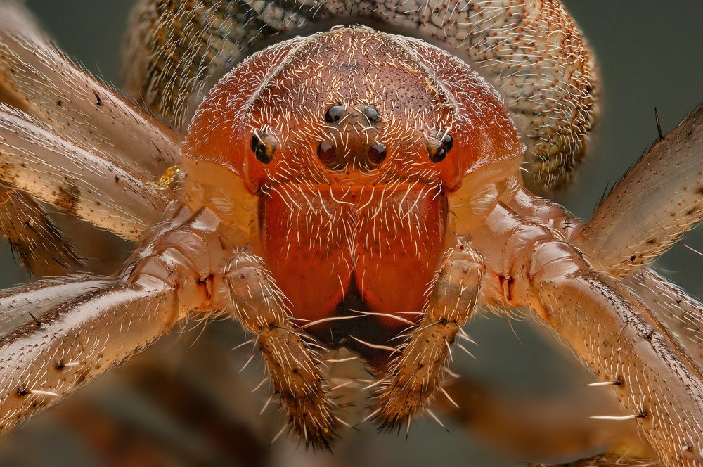 Photograph by Иван Радьков