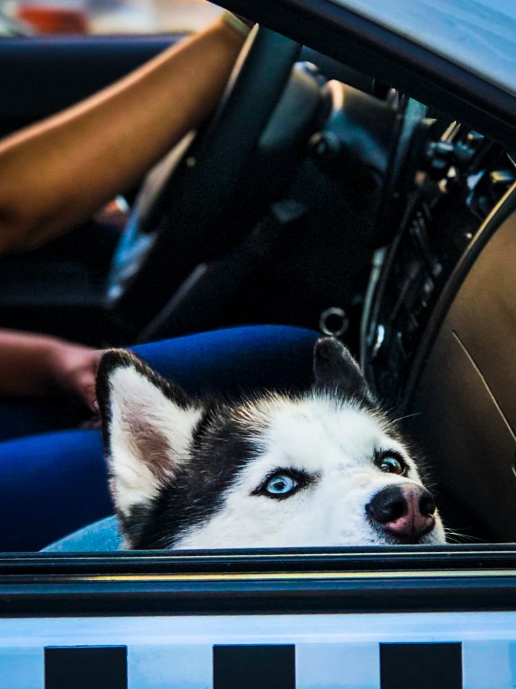 Photograph by Светлана Сычева