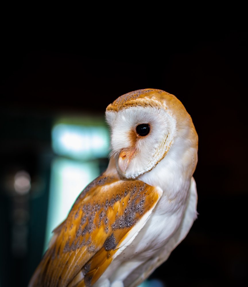 Фотография автора Виталий Зейфер