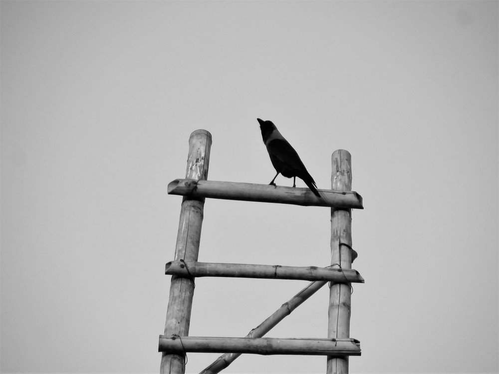 Alone