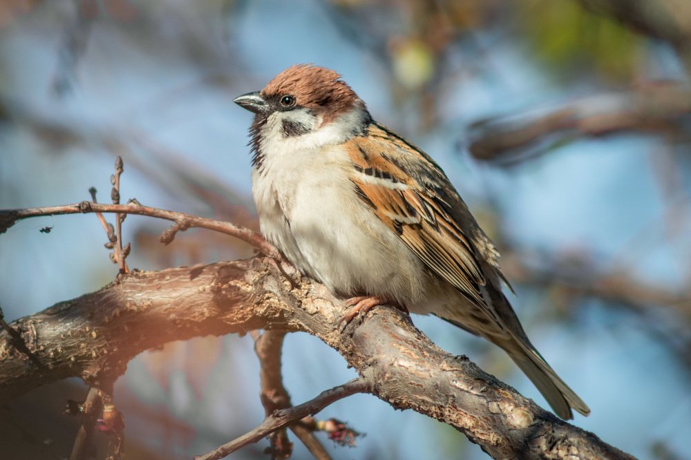 Photograph by Алексей Кремнёв