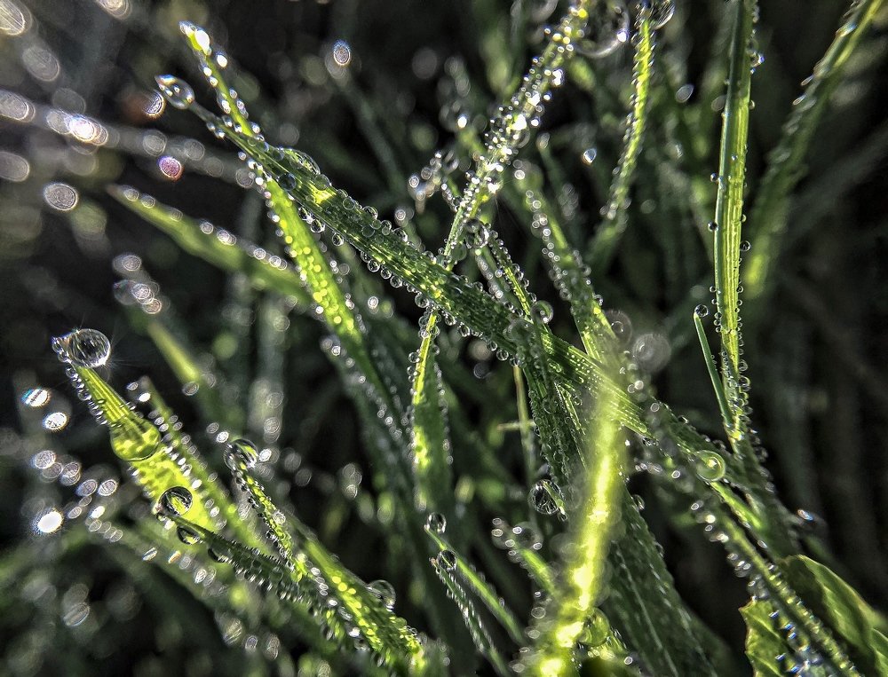 Photograph by Светлана Ишкина