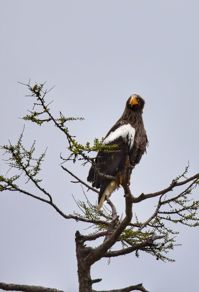 Photograph by Дмитрий Маслов