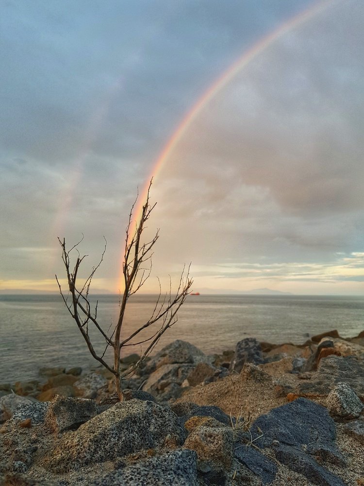 Photograph by Дмитрий Маслов