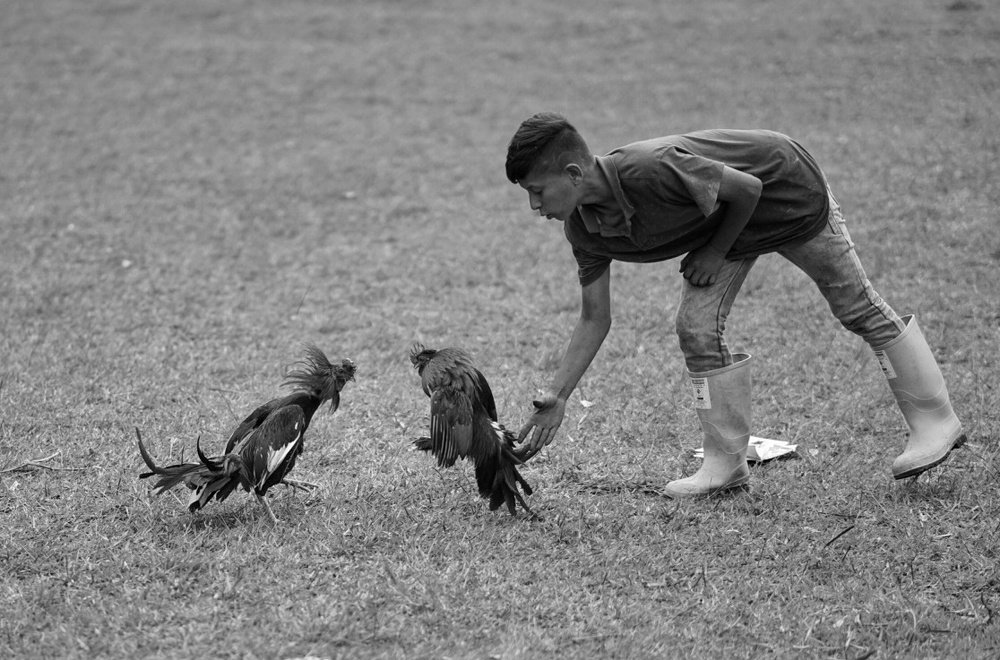 Photograph by JOSE MARIO REALES MARTINEZ