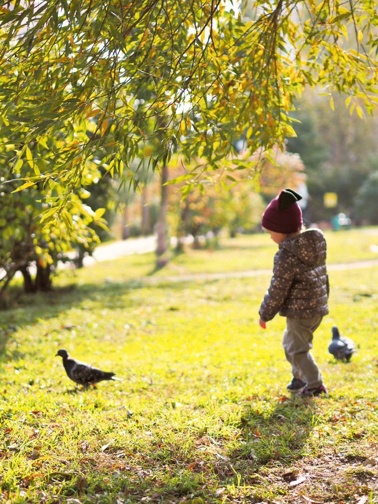 Photograph by Ольга Аникина