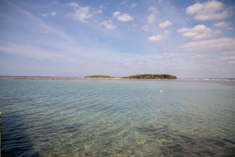 Photograph by Ольга Старшова