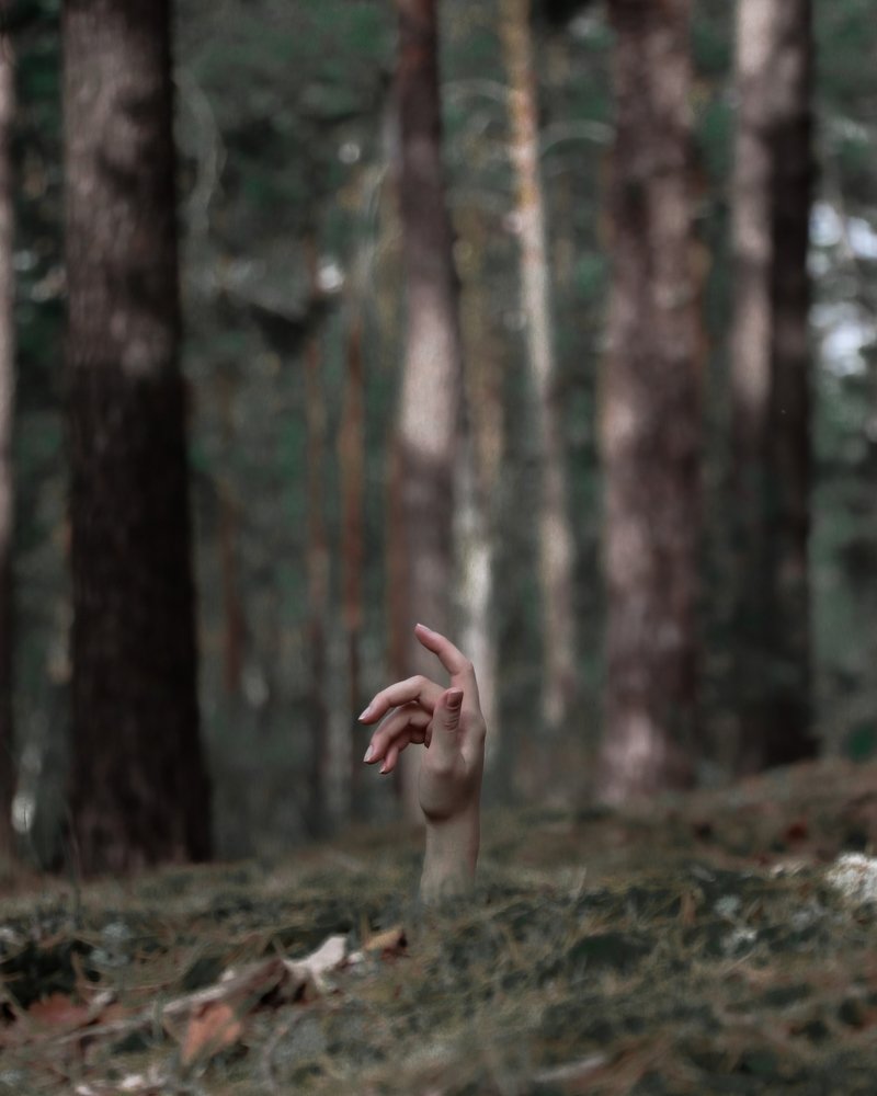 Photograph by Евгений