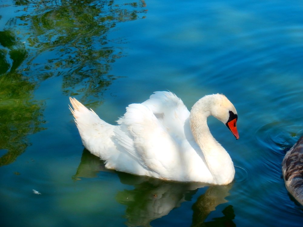 Photograph by Людмилка Лл