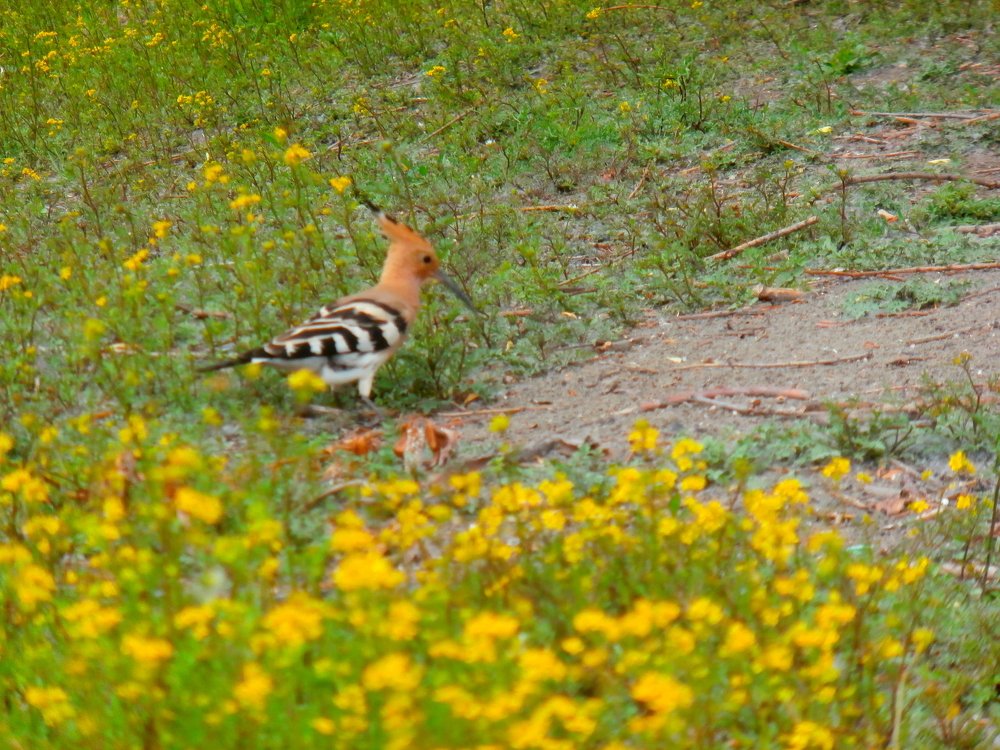 Photograph by Людмилка Лл