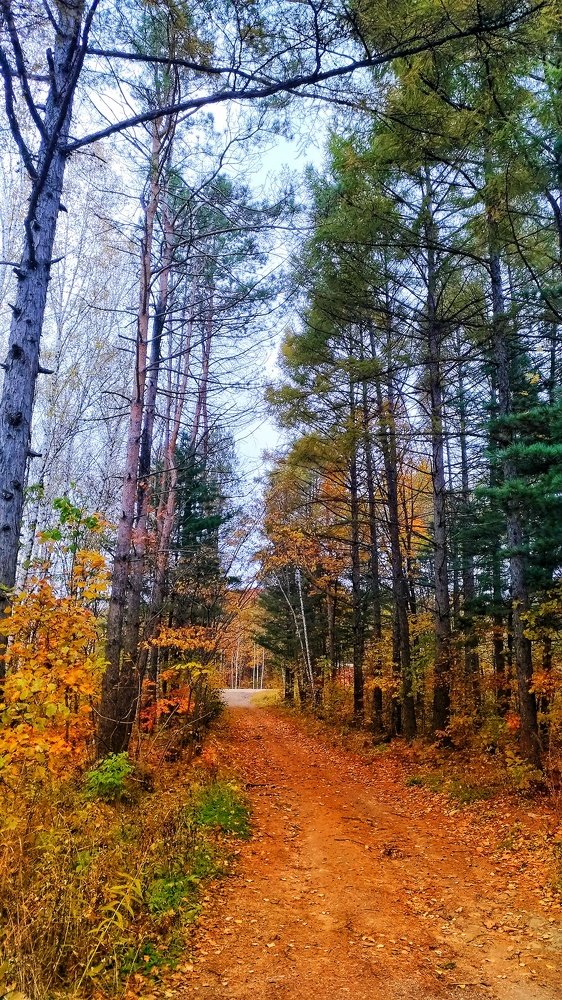 Золотая дальневосточная осень