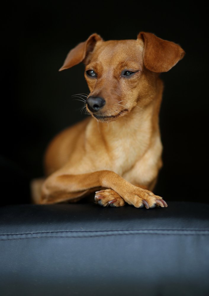 Photograph by Idit Profeta Ron