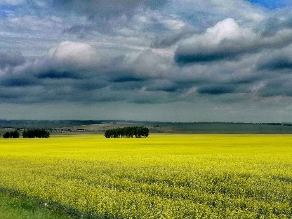 Photograph by Павел