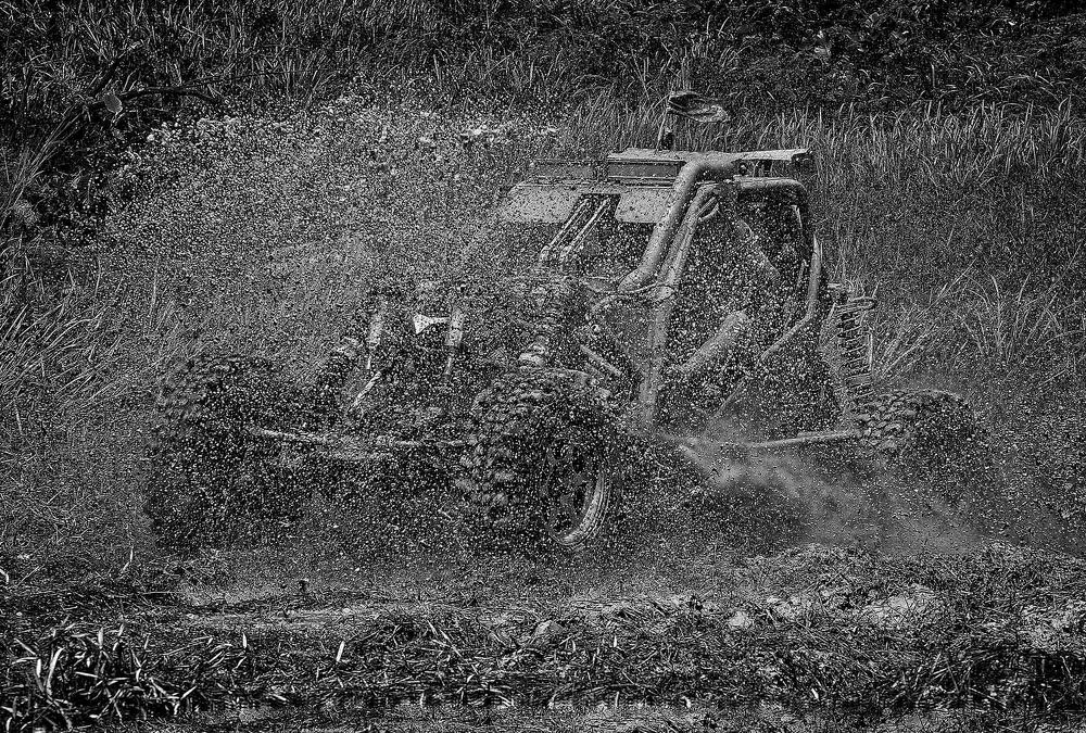 Black & White: Motion