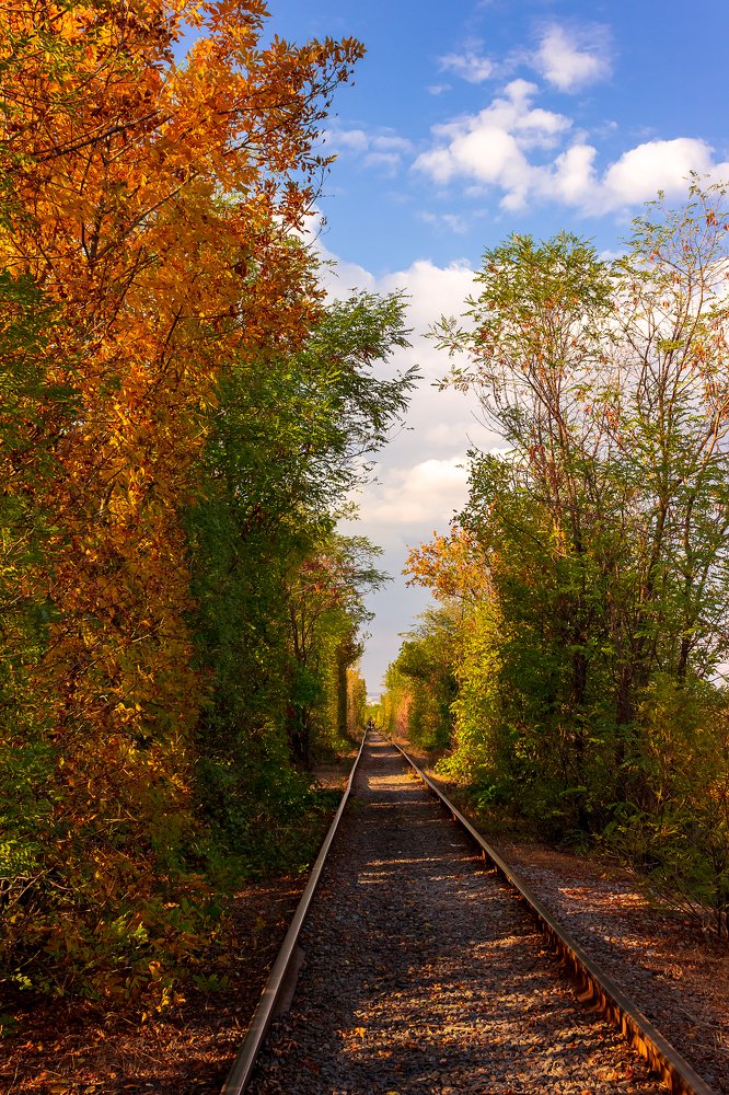 Photograph by Виктория Марьенко