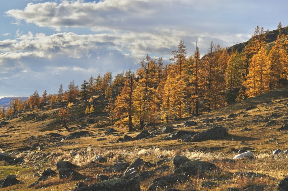 Photograph by Андрей Кузнецов