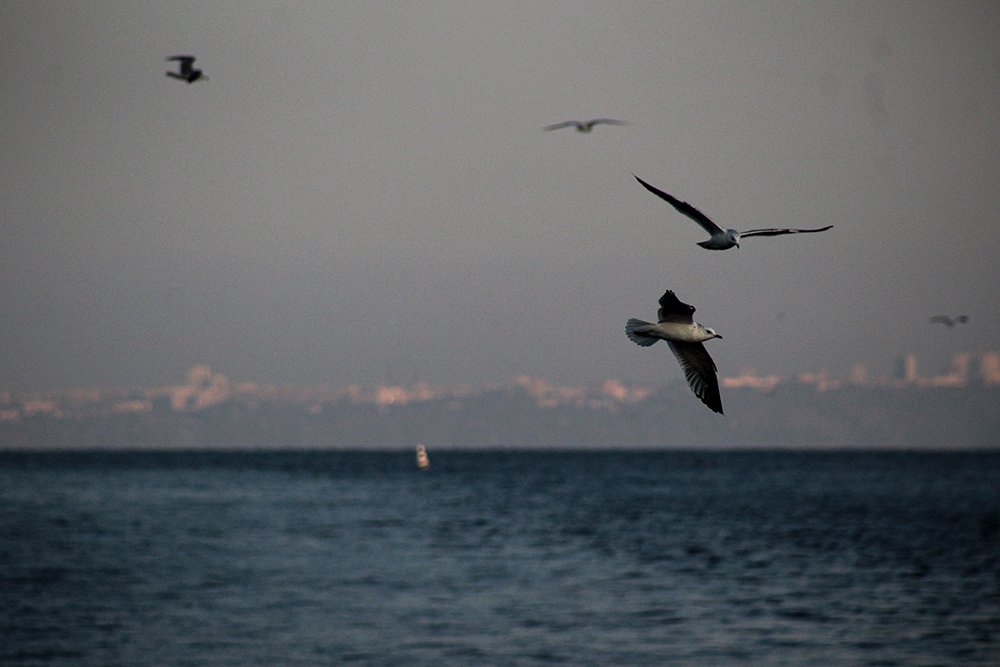 Photograph by Elena Khalizova