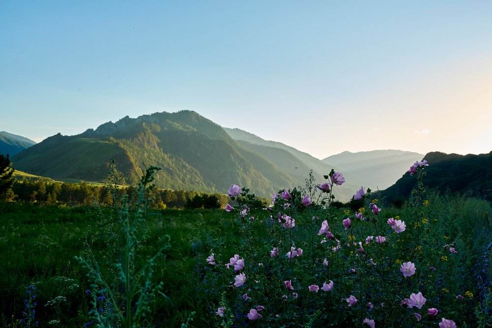 Photograph by Михаил Рогачев