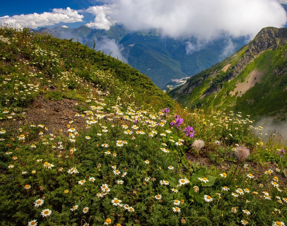 Photograph by Александр Ульянов