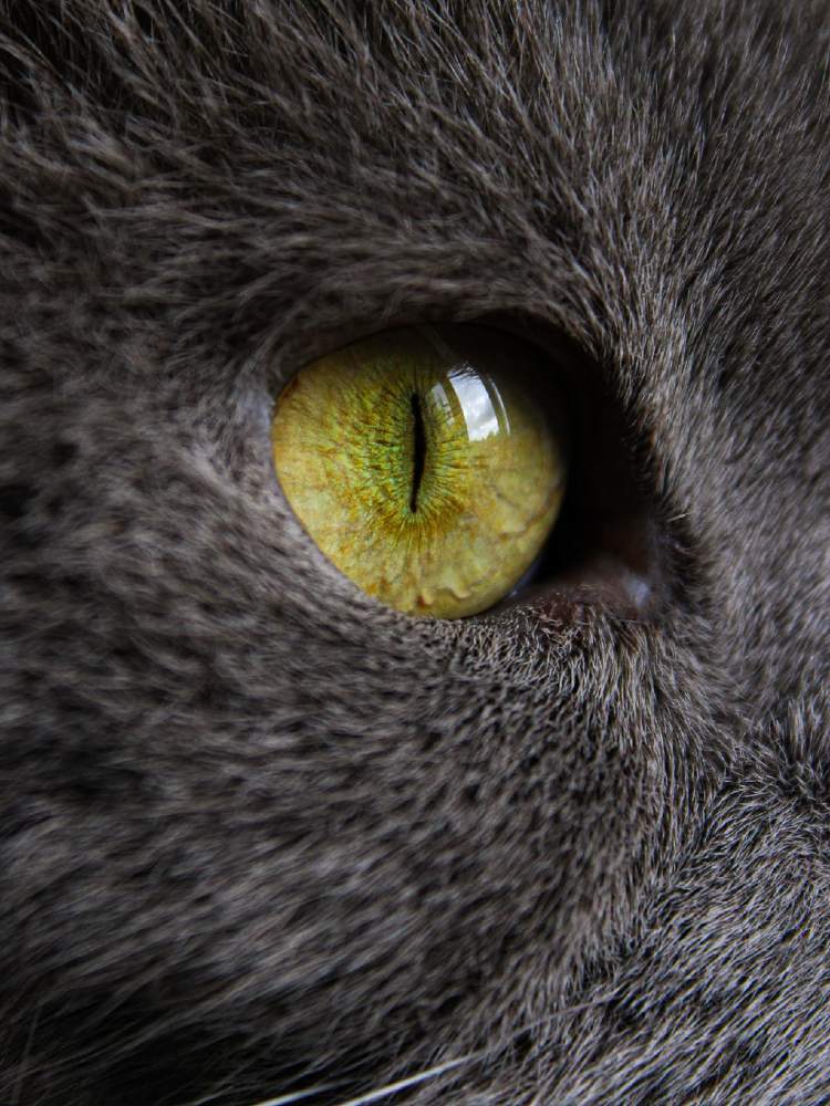 Photograph by Татьяна Решетова