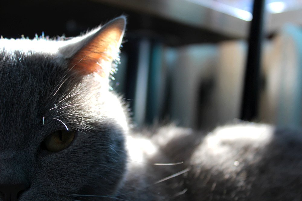 Photograph by Татьяна Решетова