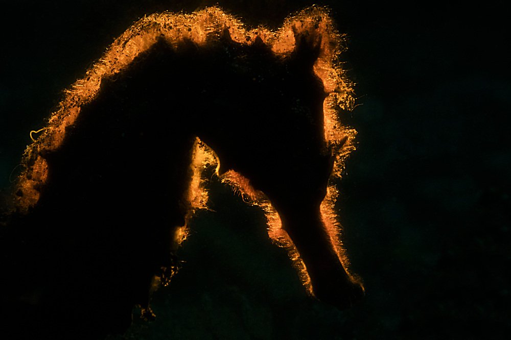 Photograph by Deniz muzaffer Gokmen