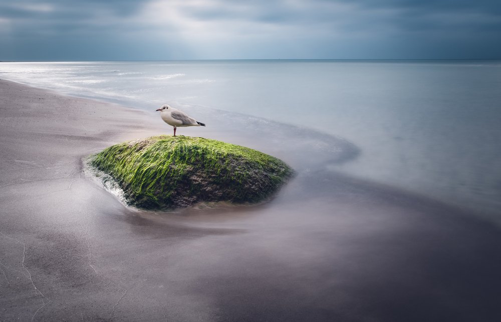 Photograph by Justas Gulbinskas